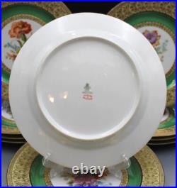 Tirschenreuther TIR170 Pattern Set of 12 Dinner Plates 10.75 Green Floral Gold Tirschenreuther TIR170 Pattern Set of 12 Dinner Plates 10.75 Green Floral Gold