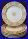 Tressemann-Vogt-T-V-Limoges-Cabinet-Dinner-Plates-5-Gold-Encrusted-10-3-8-D-01-fbf