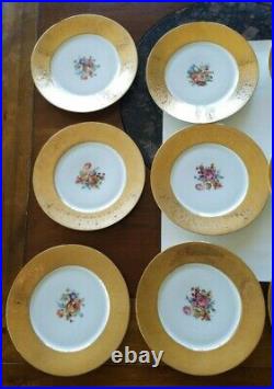 Vintage Hutschenreuther Selb Bavaria Gold Leaf Flower Dinner Plates Set Of 12