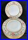 Vintage-Limoges-Dinner-Plates-Set-Of-6-Wm-Guerin-Co-Floral-and-Gold-01-ymu
