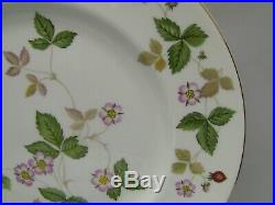 Wedgwood Wild Strawberry(Bone) with Gold Trim Dinner Plates 10 3/4 / Set of 7