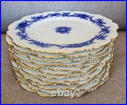 (lot Of 12) Rare Antique Flow Cobalt Blue Dinner Plates Scalloped Edge Gold Trim
