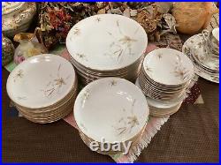 (set of 55) Edelstein Bavaria Aurora Floral pattern Gold Trim 20067 dinner &