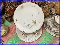 (set of 55) Edelstein Bavaria Aurora Floral pattern Gold Trim 20067 dinner &