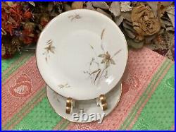 (set of 55) Edelstein Bavaria Aurora Floral pattern Gold Trim 20067 dinner &