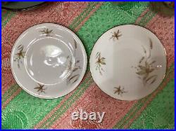 (set of 55) Edelstein Bavaria Aurora Floral pattern Gold Trim 20067 dinner &