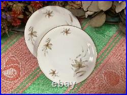 (set of 55) Edelstein Bavaria Aurora Floral pattern Gold Trim 20067 dinner &