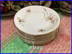 (set of 55) Edelstein Bavaria Aurora Floral pattern Gold Trim 20067 dinner &