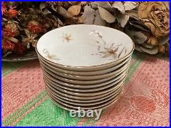 (set of 55) Edelstein Bavaria Aurora Floral pattern Gold Trim 20067 dinner &