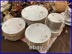 (set of 55) Edelstein Bavaria Aurora Floral pattern Gold Trim 20067 dinner &